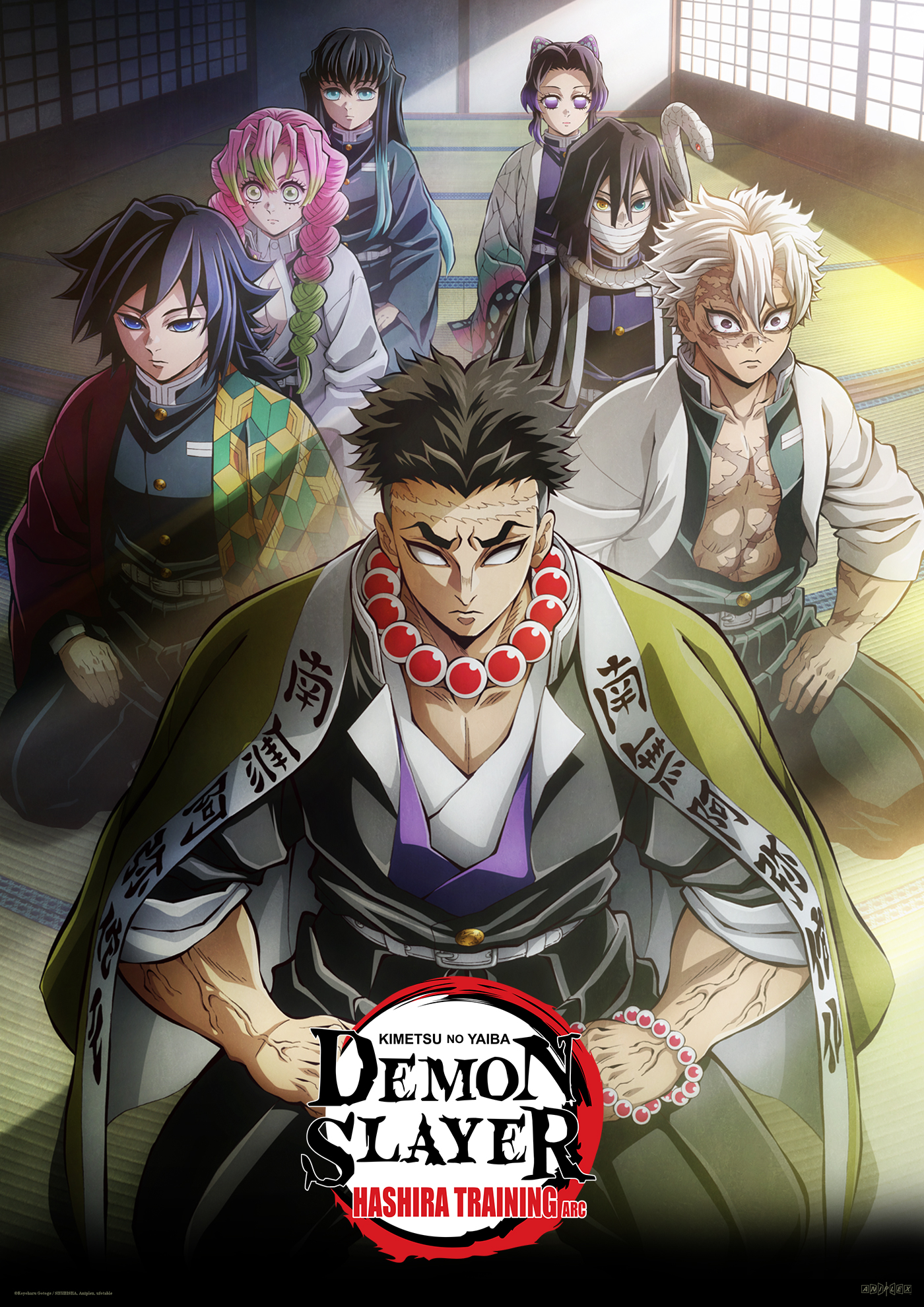 Affiche de l'anime Demon Slayer: Kimetsu no Yaiba
