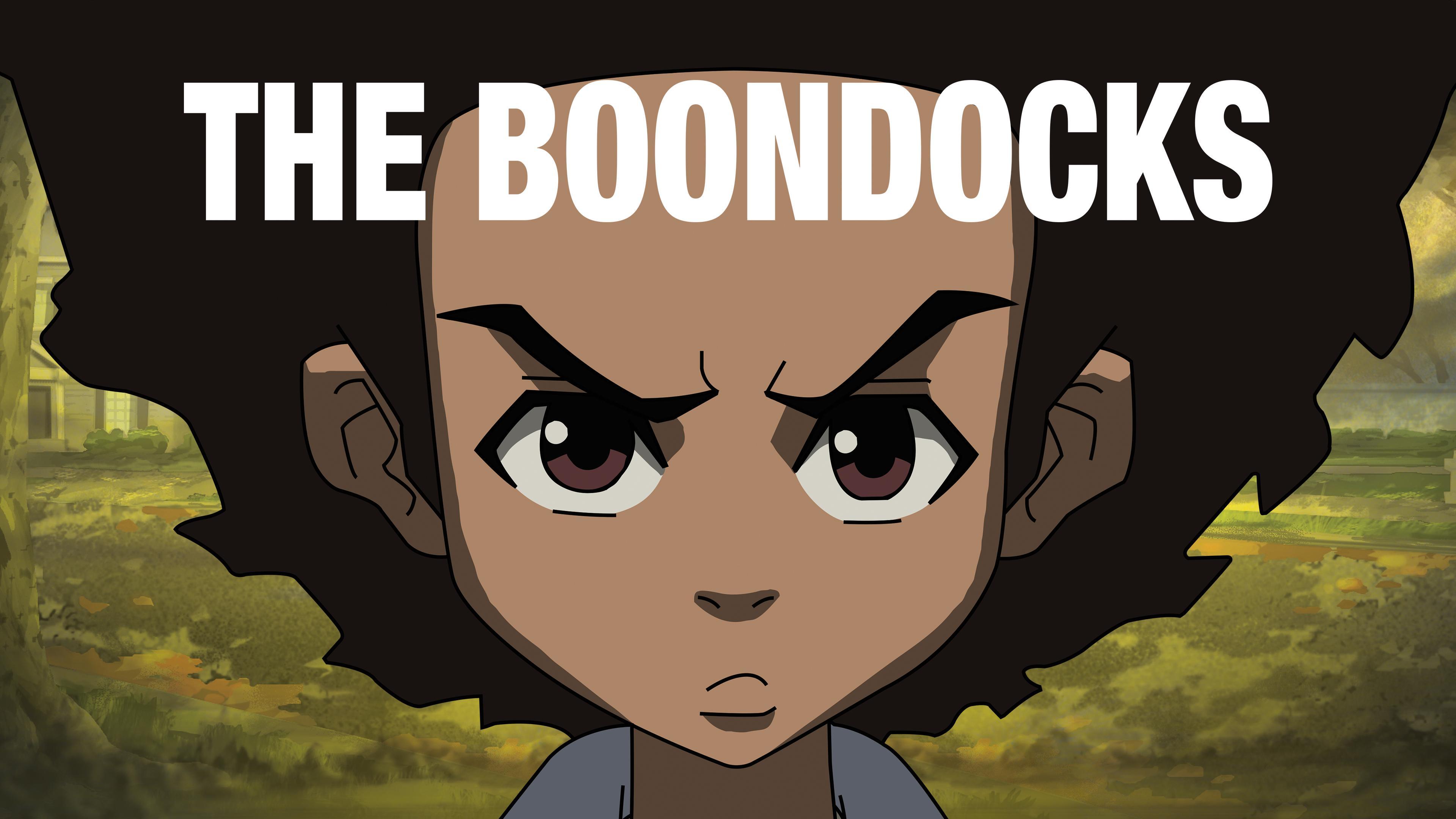 affiche de The boondocks