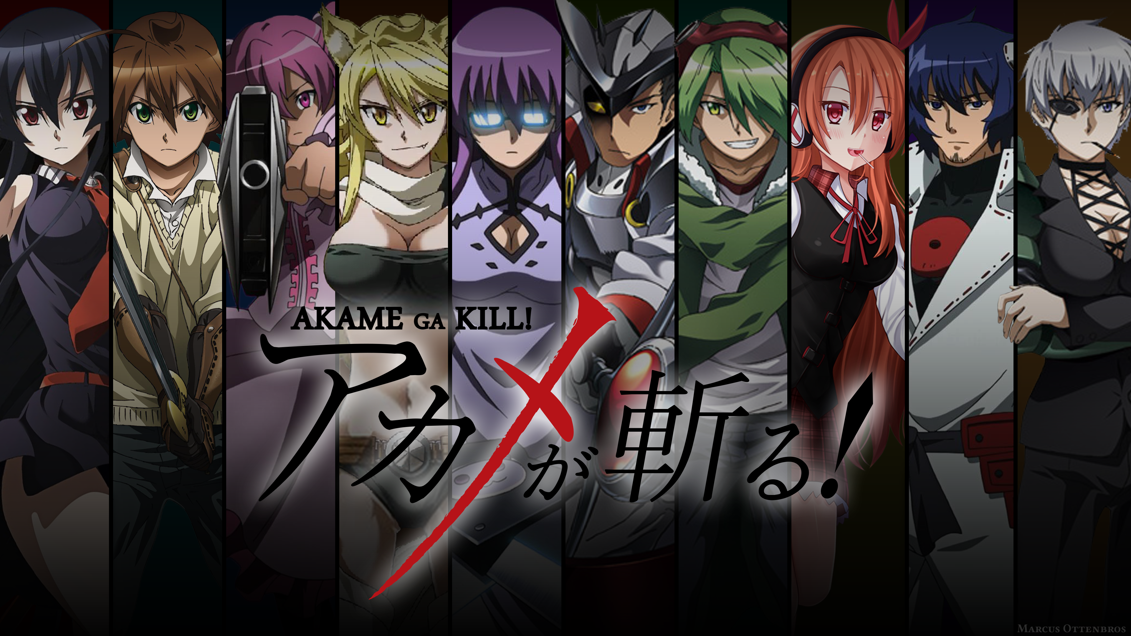 affiche de Akame ga Kill!