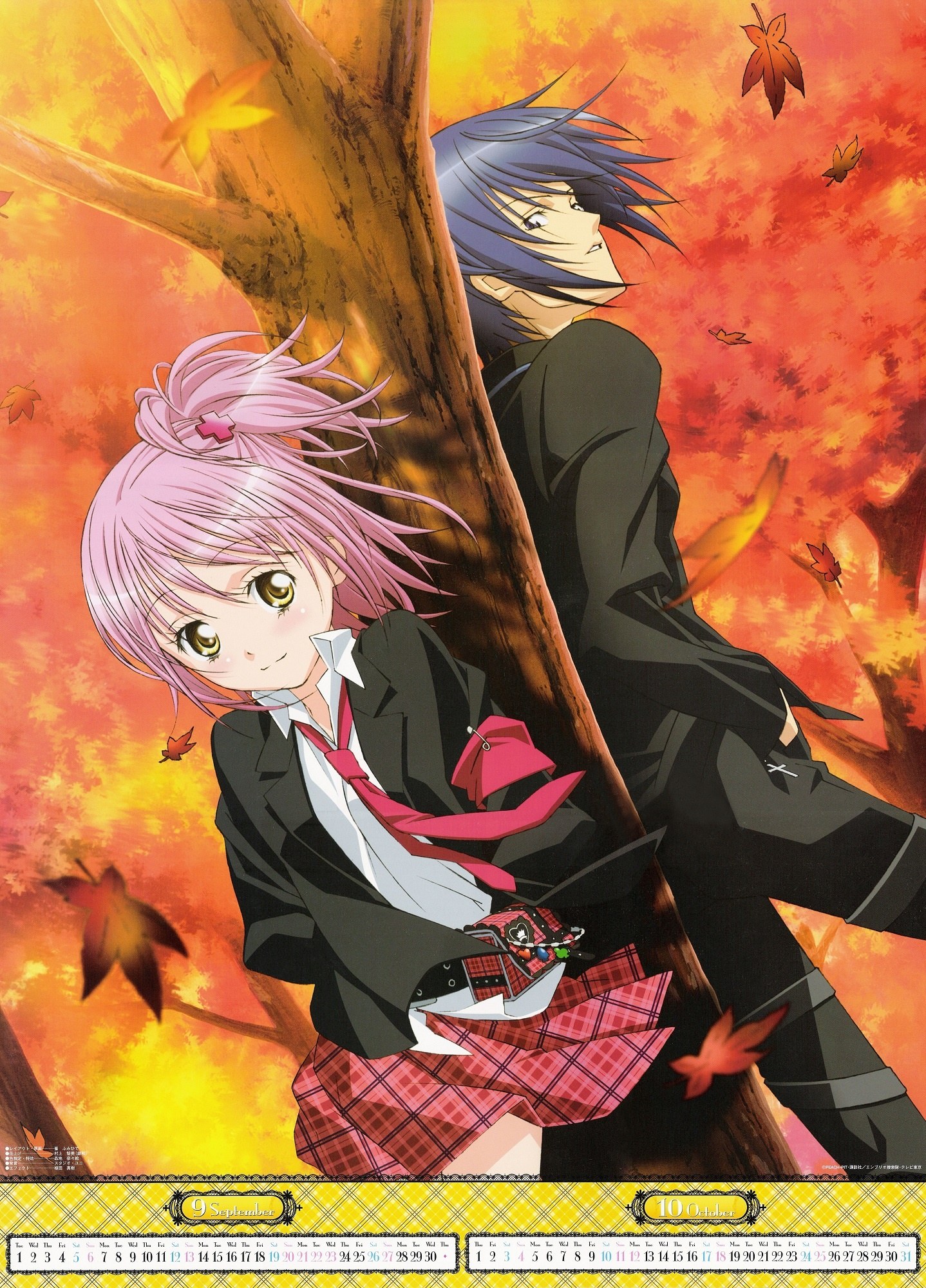 Affiche de l'anime Shugo Chara!